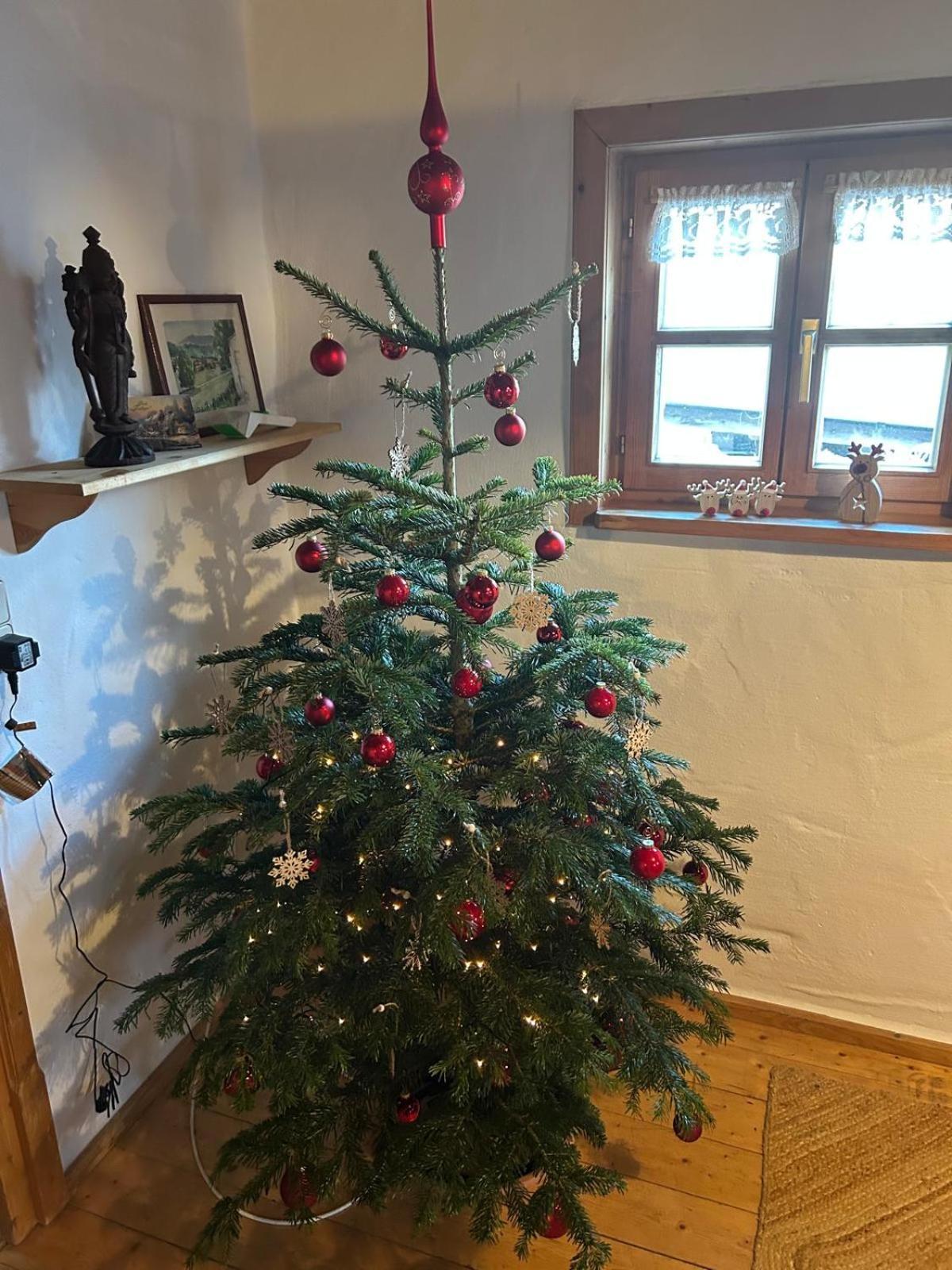 Apartment // Waldlerhaus - Bayern - Bayerischer Wald *