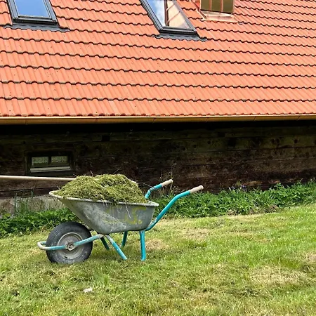 Ferienhaus // Waldlerhaus - Bayern - Bayerischer Wald Windberg Extérieur photo