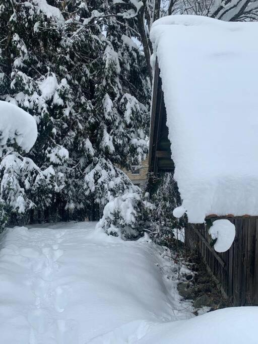 Apartment // Waldlerhaus - Bayern - Bayerischer Wald Windberg