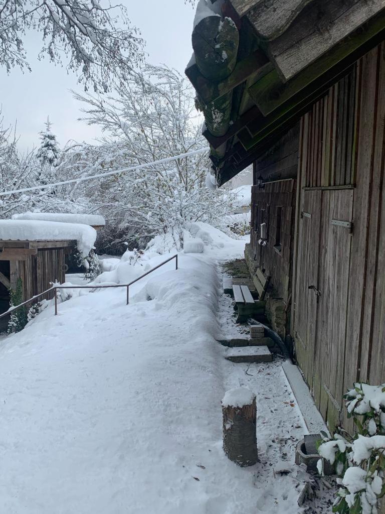 // Waldlerhaus - Bayern - Bayerischer Wald * Windberg