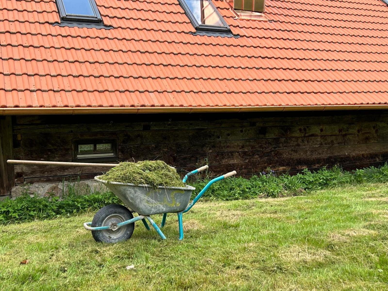 Apartment // Waldlerhaus - Bayern - Bayerischer Wald Windberg