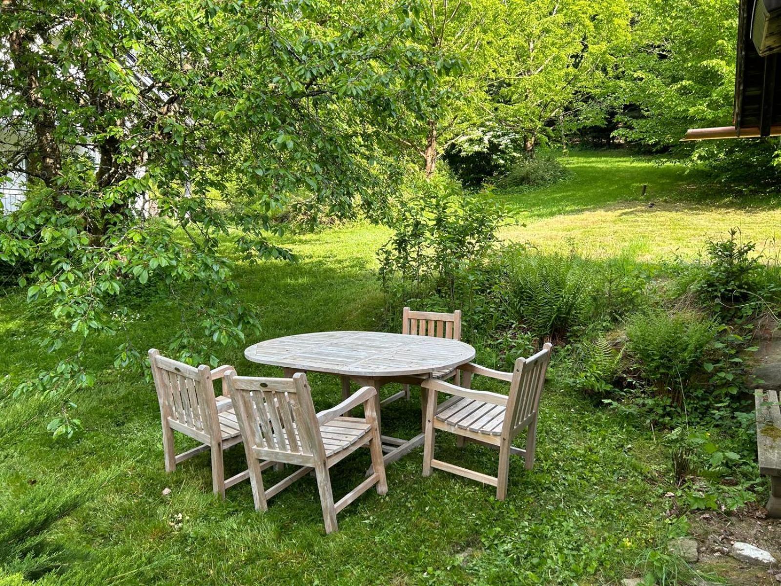 Apartment // Waldlerhaus - Bayern - Bayerischer Wald
